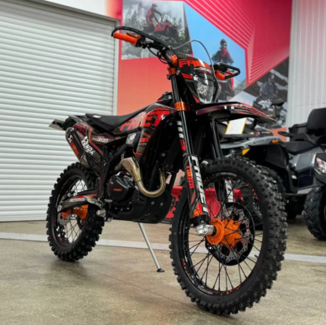 Кроссовый мотоцикл FAIDET PR300 MAX WP в Октябрьском