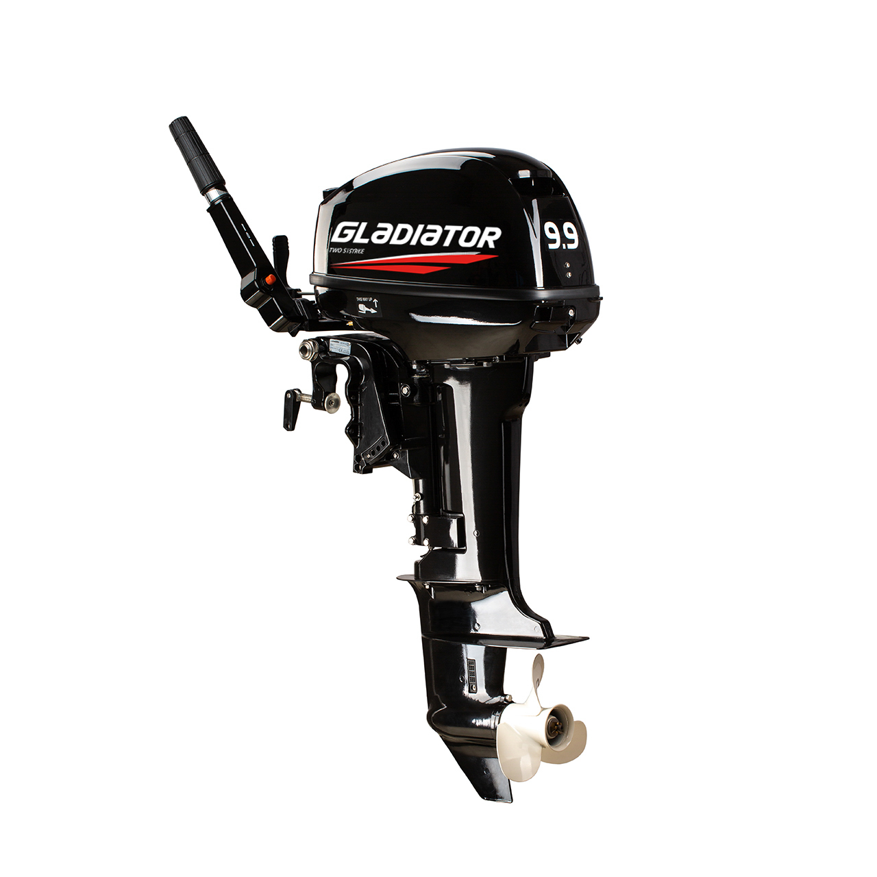 ЛОДОЧНЫЙ МОТОР GLADIATOR G9.9FHS в Октябрьском