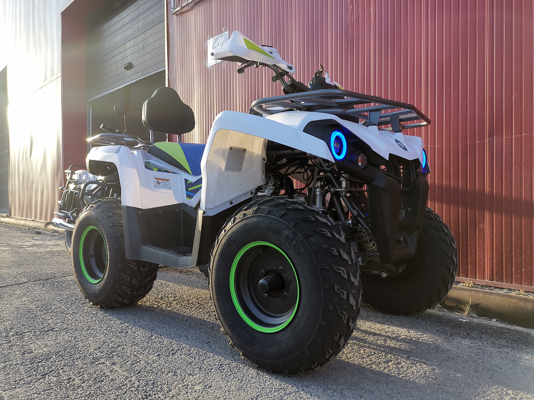 Квадроцикл PROMAX RENEGADE 280 LUX (2025) в Октябрьском