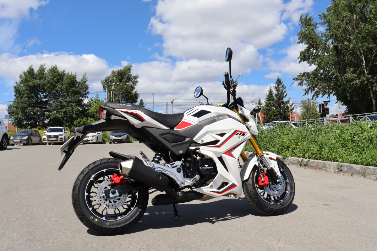 Мотоцикл PROMAX STRYKER 200(49) 2.0 в Октябрьском