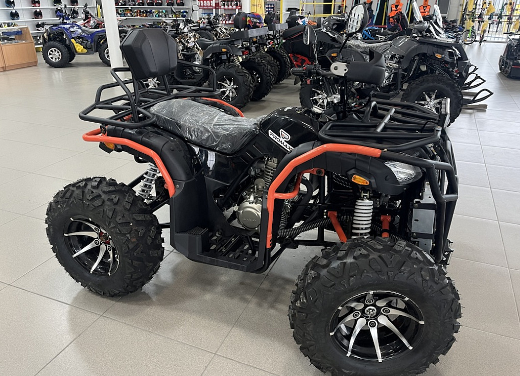 Квадроцикл PROMAX 300 4X4 ALL ROAD в Октябрьском