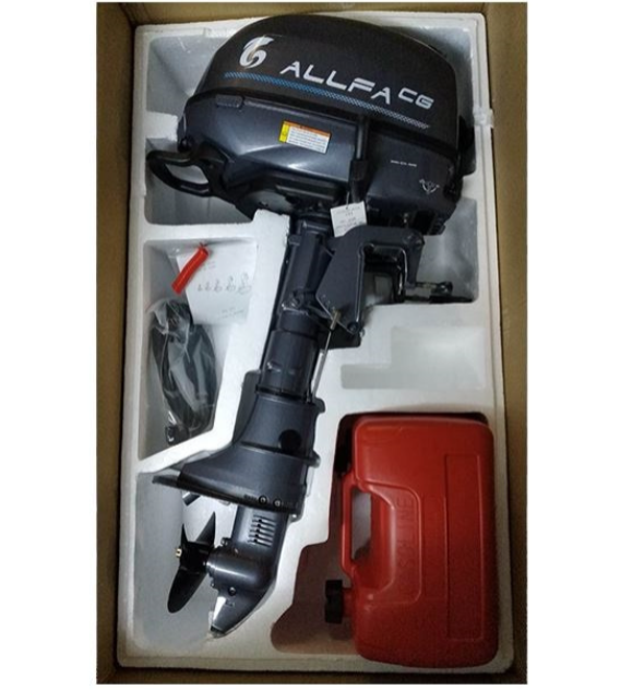 Лодочный мотор ALLFA CG F6 в Октябрьском