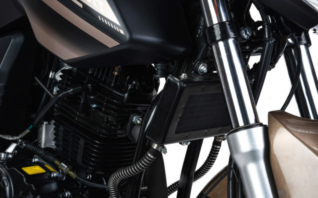 Мотоцикл MOTOLAND (МОТОЛЕНД) 300 BANDIT в Октябрьском