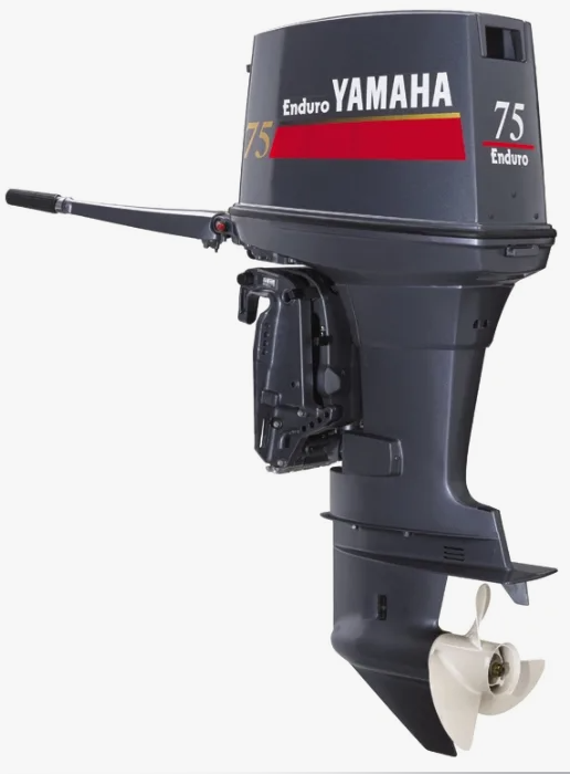 Лодочный мотор YAMAHA E75BMHDL в Октябрьском
