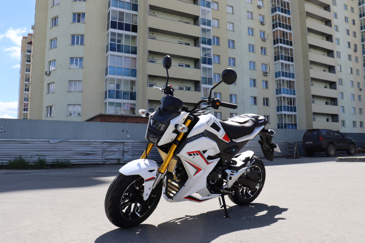 Мотоцикл PROMAX STRYKER 200(49) 2.0 в Октябрьском