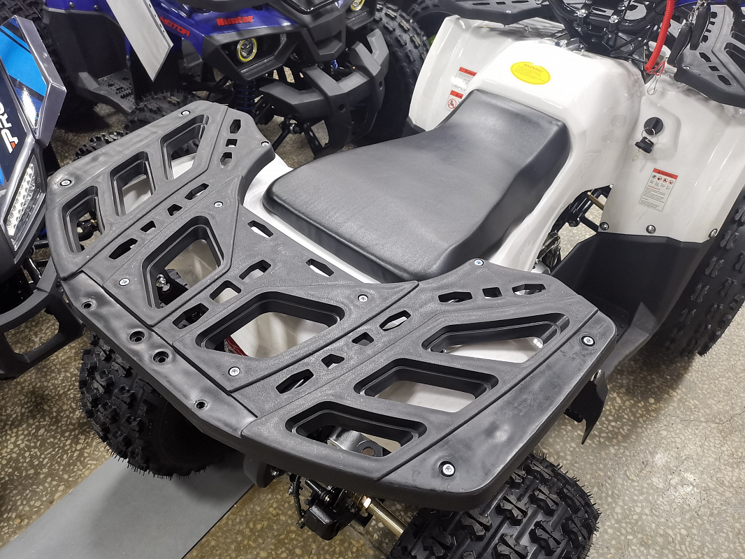 Квадроцикл PROMAX WILD 175 LUX в Октябрьском