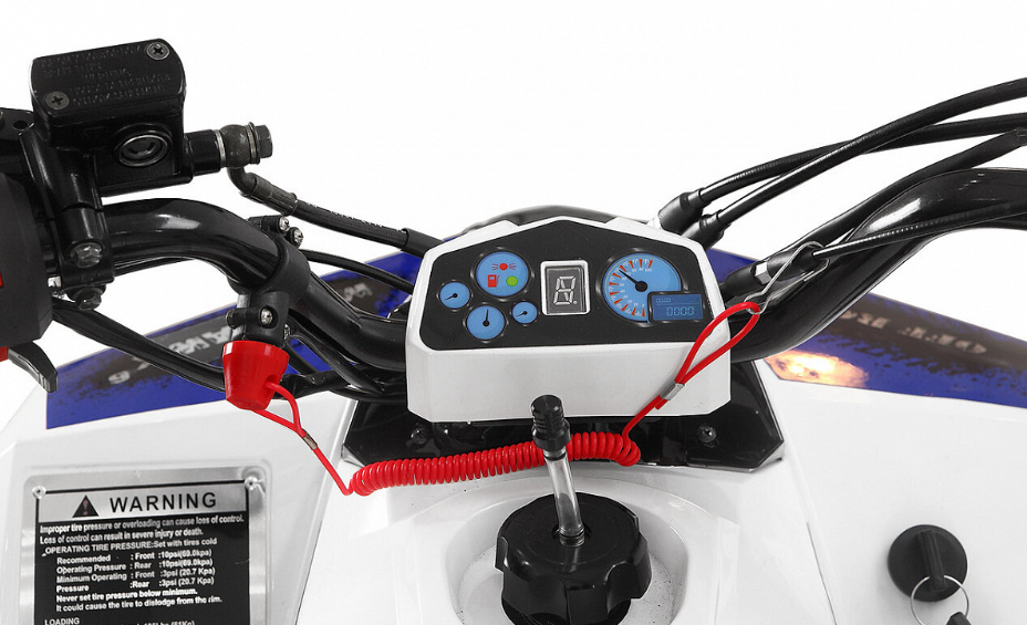 Квадроцикл Yacota Raposa 110 в Октябрьском