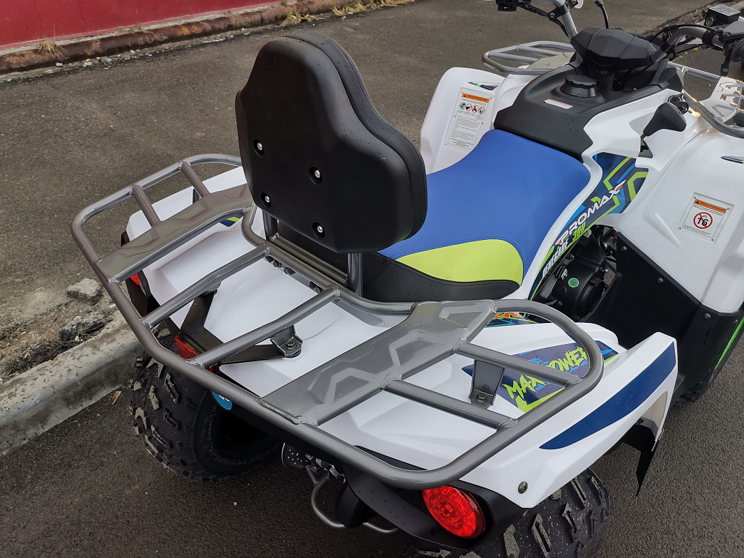 Квадроцикл PROMAX RENEGADE 280 LUX (2025) в Октябрьском