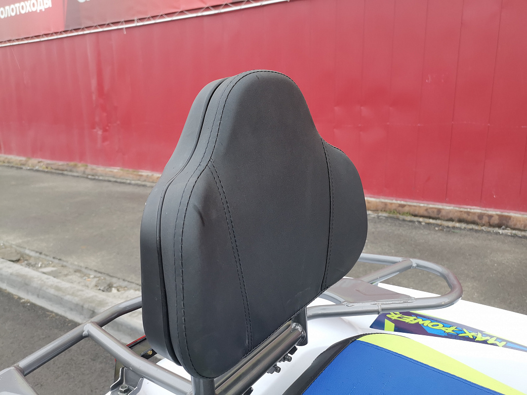 Квадроцикл PROMAX RENEGADE 280 LUX (2025) в Октябрьском