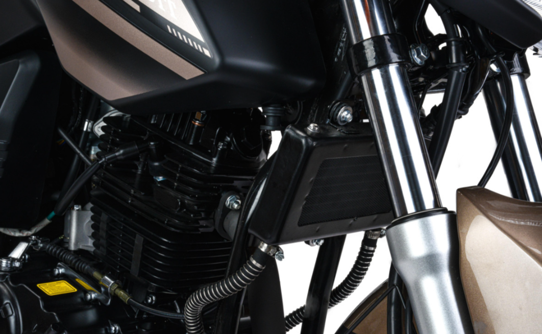 Мотоцикл MOTOLAND (МОТОЛЕНД) 300 BANDIT в Октябрьском