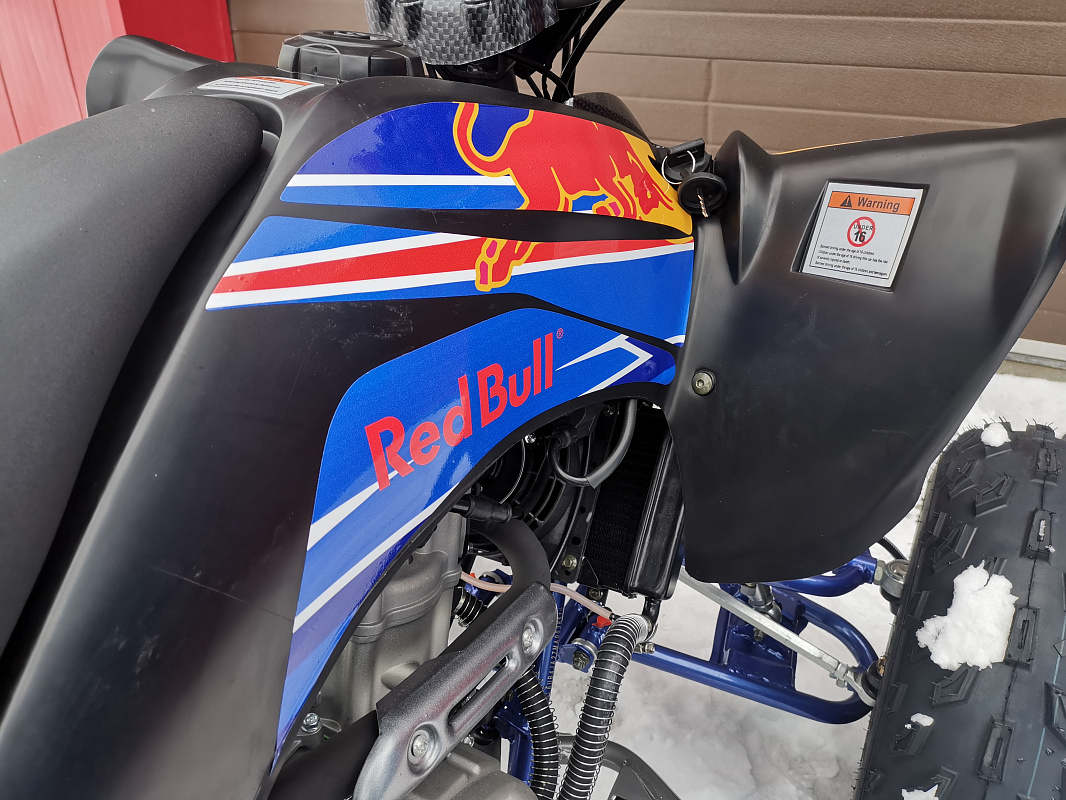 Квадроцикл PROMAX RAPTOR 300 NEW RedBull в Октябрьском
