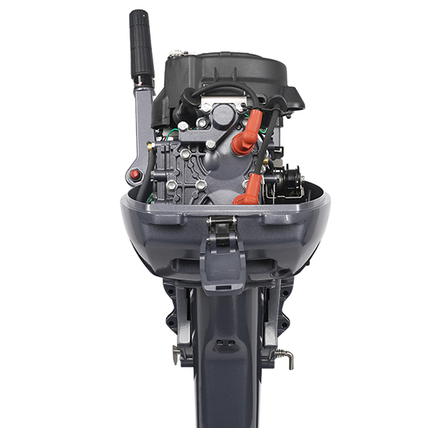 ЛОДОЧНЫЙ МОТОР ALLFA CG Т9,9 Limit в Октябрьском