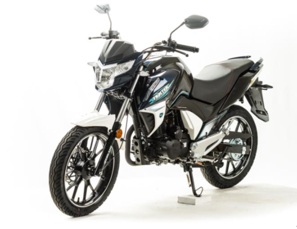 Мотоцикл MOTOLAND (МОТОЛЕНД) FIGHTER 250 в Октябрьском