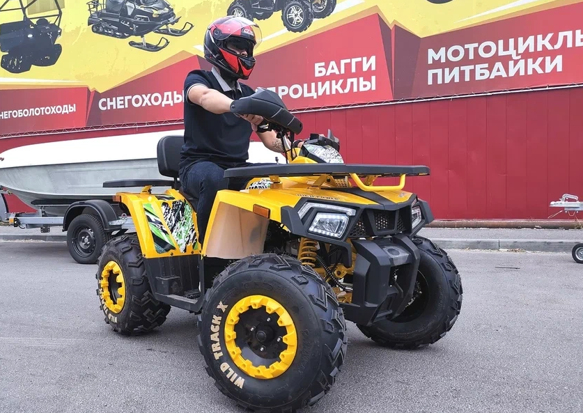 Квадроцикл PROMAX STORM 280 LUX в Октябрьском