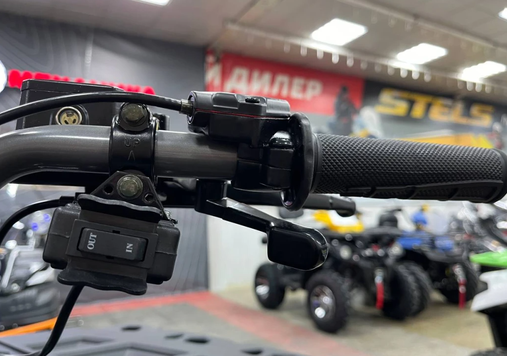 Квадроцикл PROMAX RENEGADE 300 LONG WINCH PRO (2025) в Октябрьском