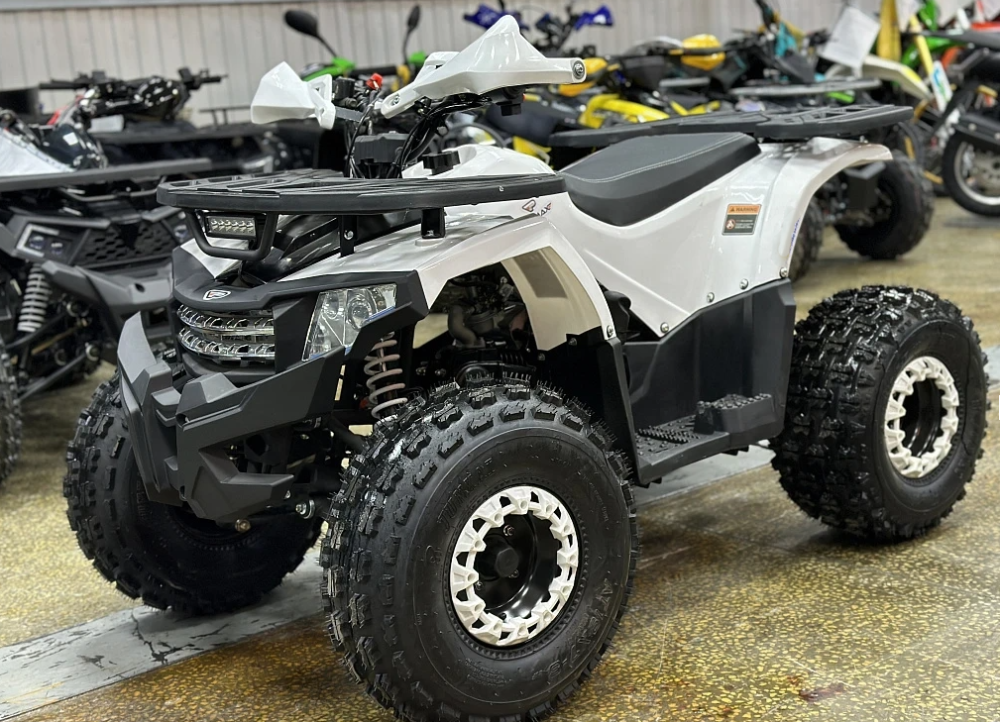 Квадроцикл PROMAX WILD 2.0 190 в Октябрьском