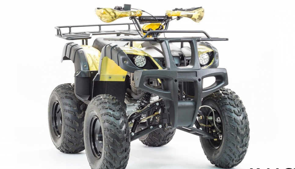 Квадроцикл MOTOLAND (МОТОЛЕНД) 250 ADVENTURE в Октябрьском