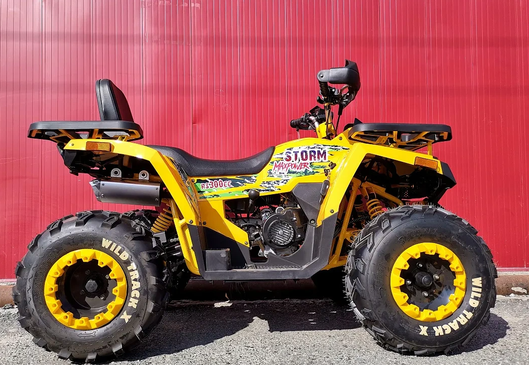 Квадроцикл PROMAX STORM 280 LUX в Октябрьском