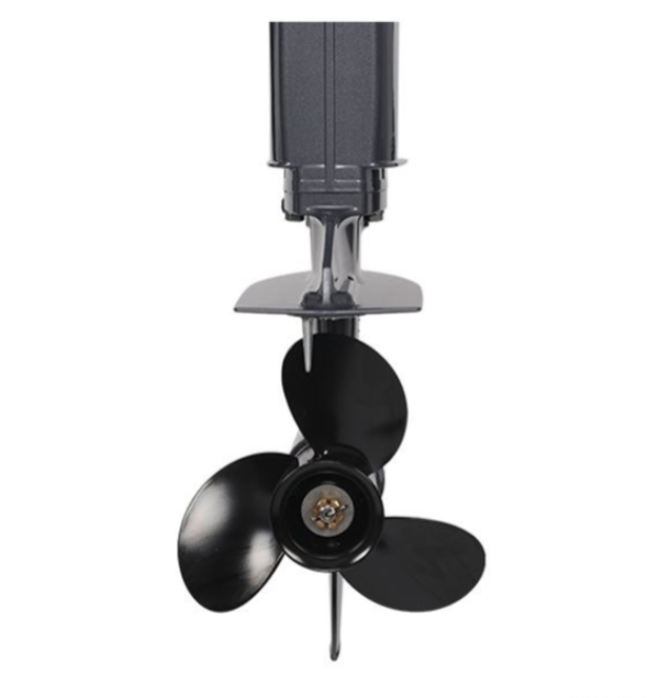 Лодочный мотор ALLFA CG Т40FW S в Октябрьском