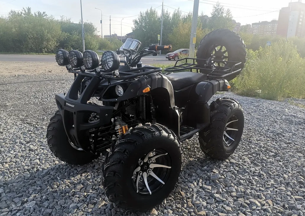 Квадроцикл PROMAX LEO 300 Max (кардан) в Октябрьском