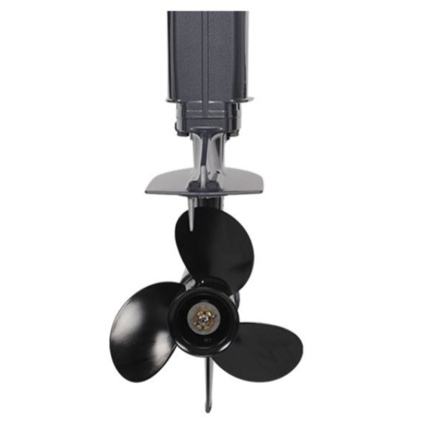 Лодочный мотор ALLFA CG Т40FWT S в Октябрьском