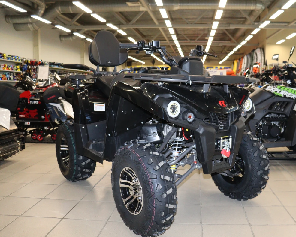 Квадроцикл PROMAX RENEGADE 300 LONG WINCH PRO (2025) в Октябрьском