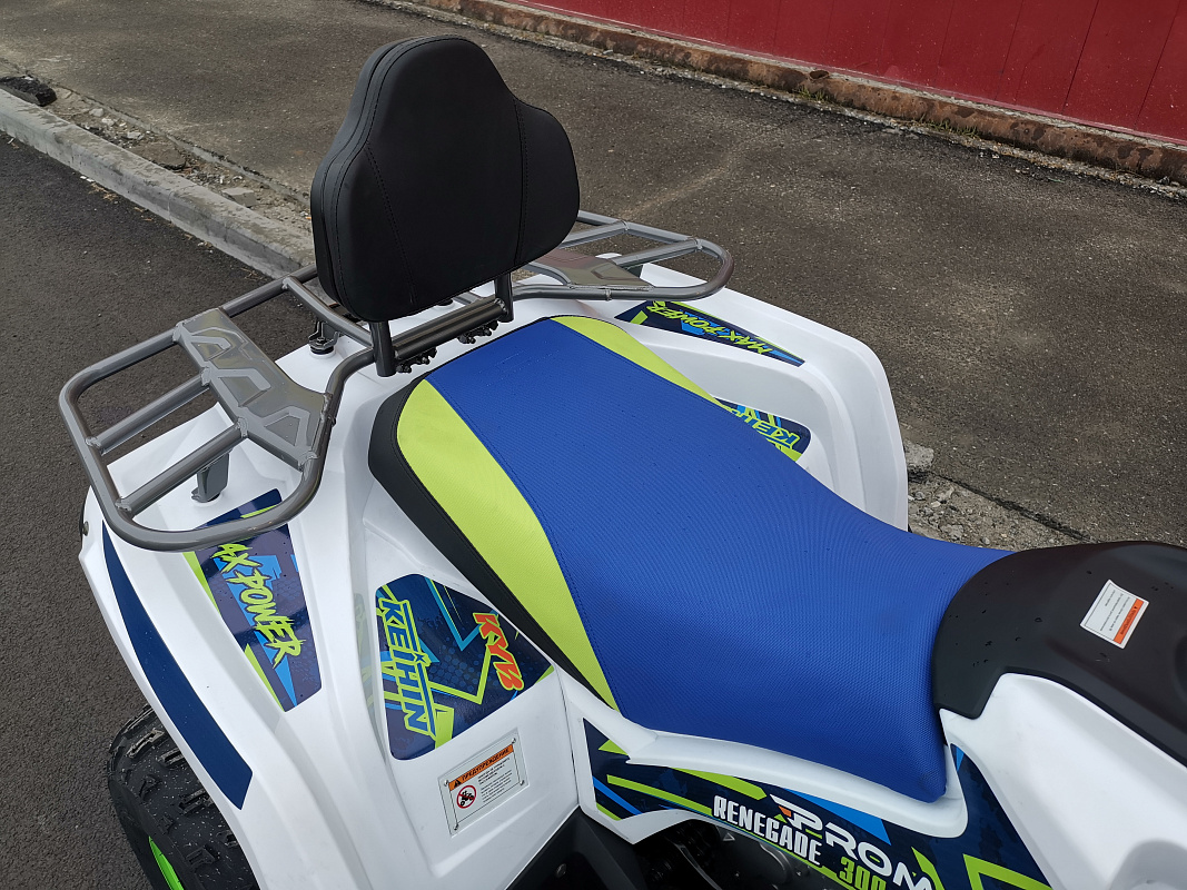 Квадроцикл PROMAX RENEGADE 280 LUX (2025) в Октябрьском