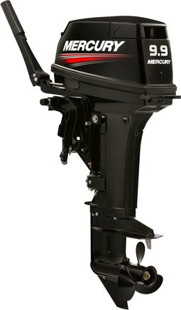 ЛОДОЧНЫЙ МОТОР MERCURY 9.9 MH TMC 247 CC в Октябрьском