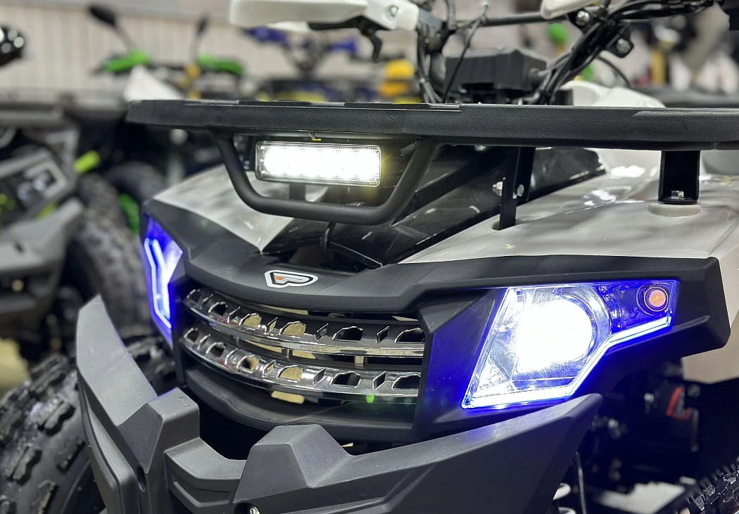 Квадроцикл PROMAX WILD 2.0 190 в Октябрьском