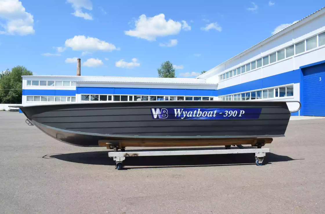Алюминиевая лодка Wyatboat-390Р Fish в Октябрьском