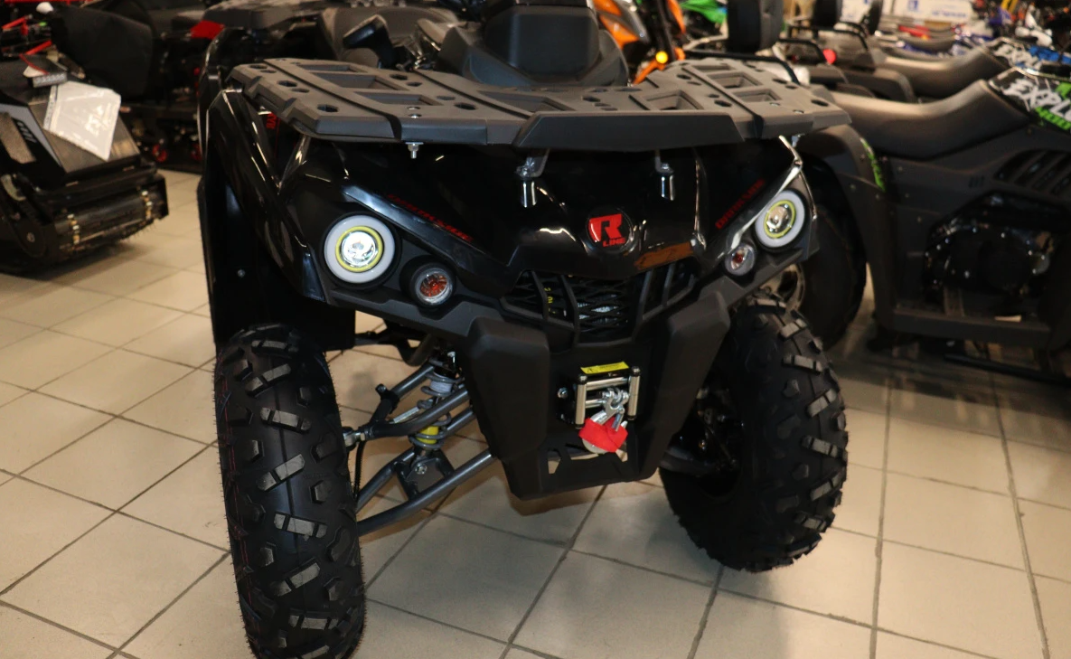 Квадроцикл PROMAX RENEGADE 300 LONG WINCH PRO (2025) в Октябрьском