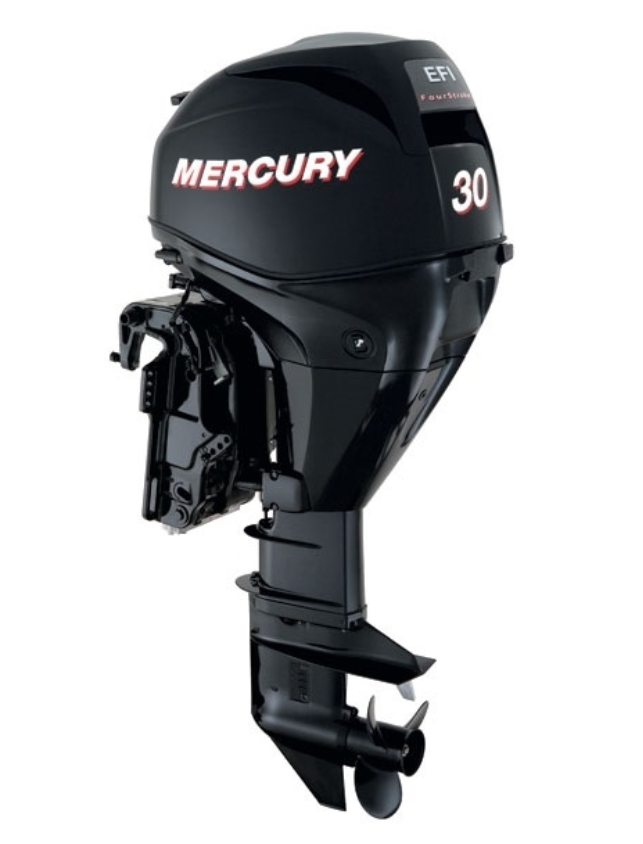 ЛОДОЧНЫЙ МОТОР MERCURY  F 30 ELH GA EFI в Октябрьском