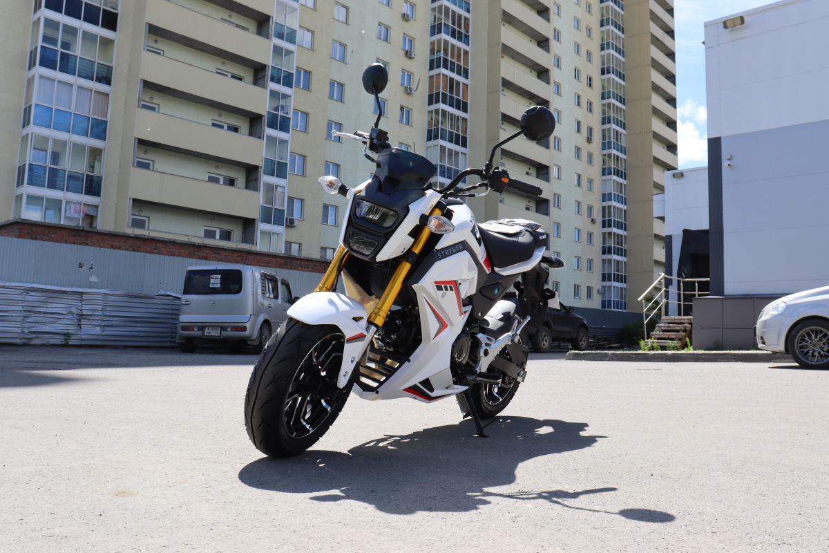 Мотоцикл PROMAX STRYKER 200(49) 2.0 в Октябрьском