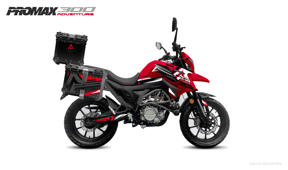 Мотоцикл PROMAX ADVENTURE 300 PRO EFI (NB300) в Октябрьском