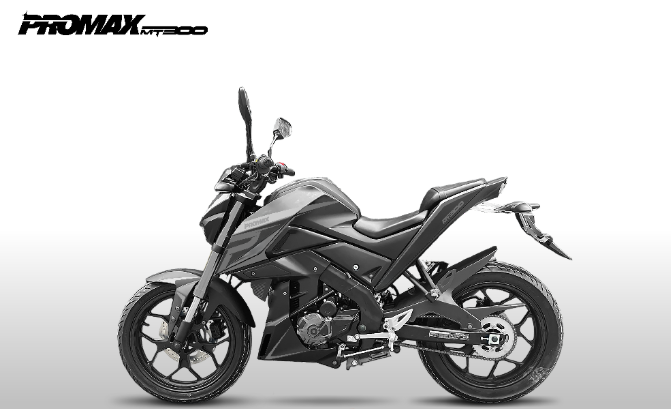 Мотоцикл PROMAX MT300 в Октябрьском