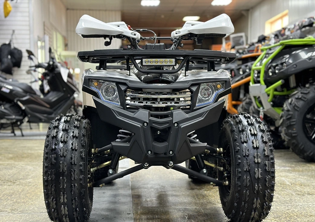 Квадроцикл PROMAX WILD 2.0 190 в Октябрьском