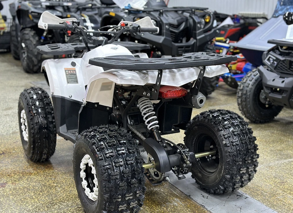 Квадроцикл PROMAX WILD 2.0 190 в Октябрьском