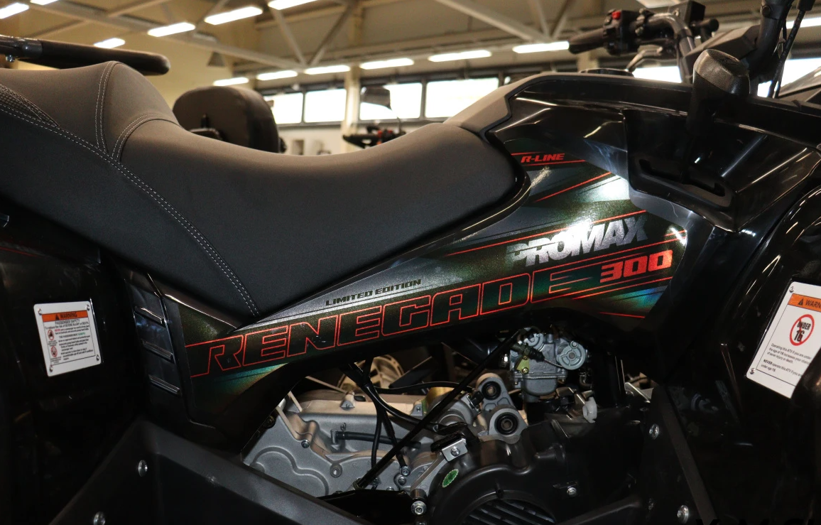 Квадроцикл PROMAX RENEGADE 300 LONG WINCH PRO (2025) в Октябрьском