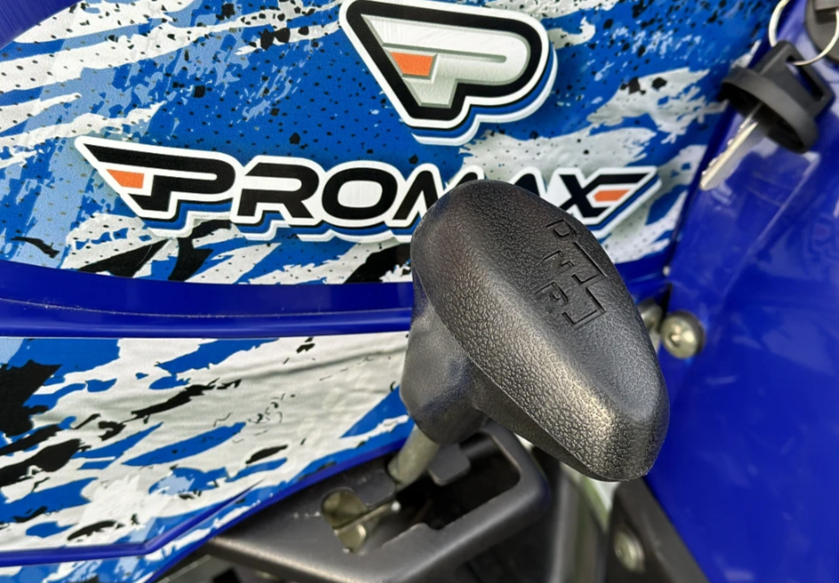 Квадроцикл PROMAX ATV 250 MAX (2025) в Октябрьском