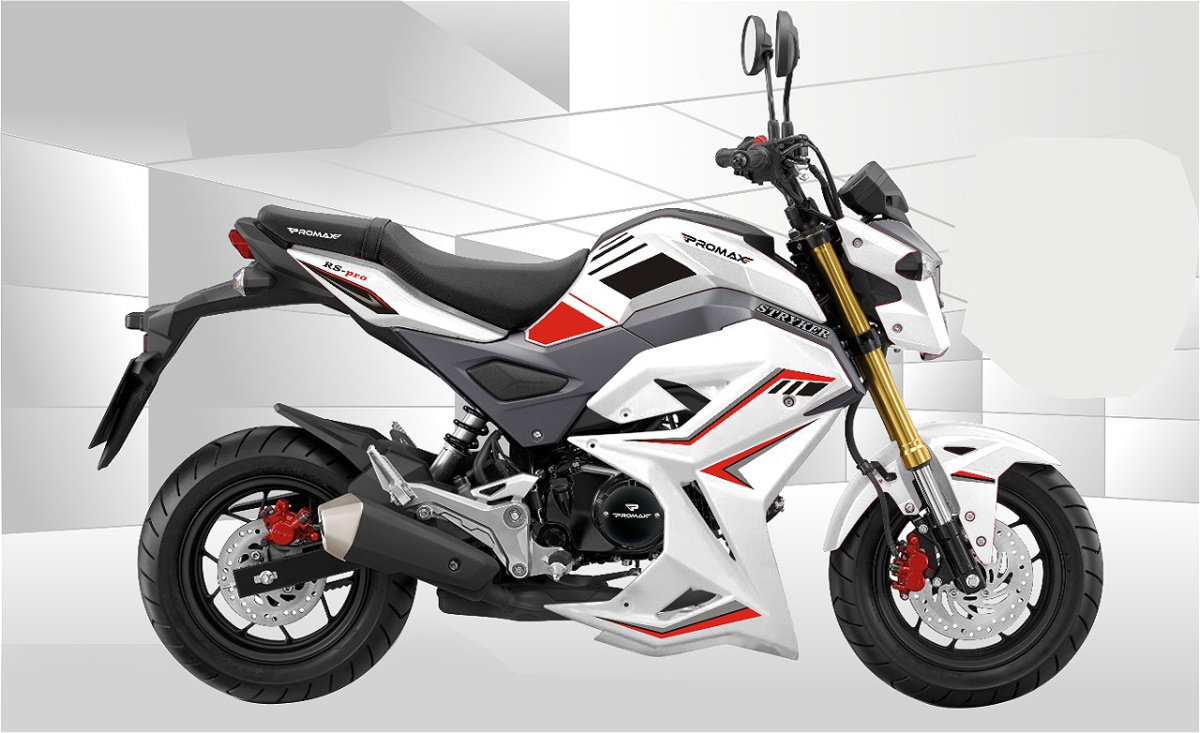 Мотоцикл PROMAX STRYKER 200(49) 2.0 в Октябрьском