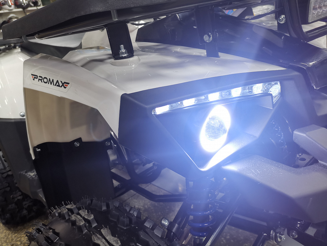 Квадроцикл PROMAX WILD 175 LUX в Октябрьском