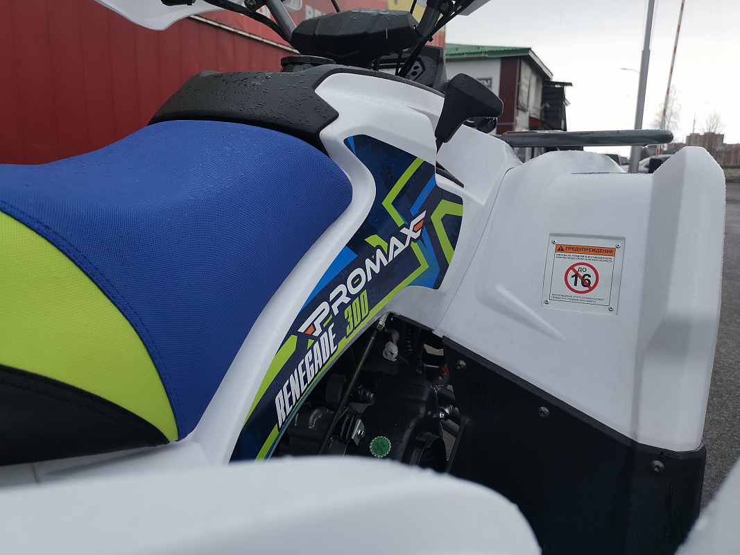 Квадроцикл PROMAX RENEGADE 280 LUX (2025) в Октябрьском