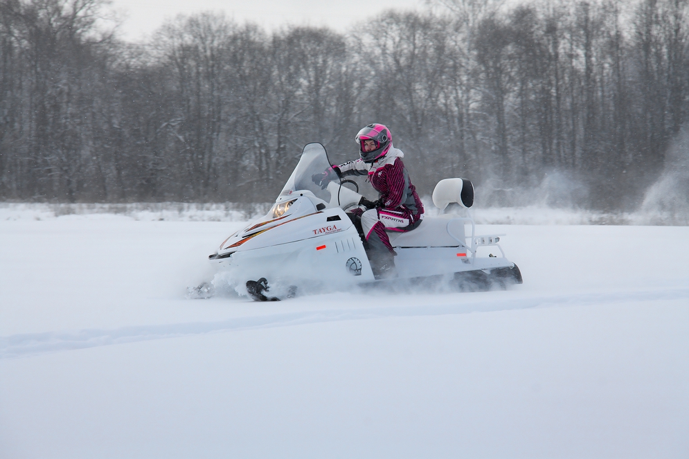 Снегоход Русская механика РМ TAYGA PATRUL 551 SWT в Октябрьском