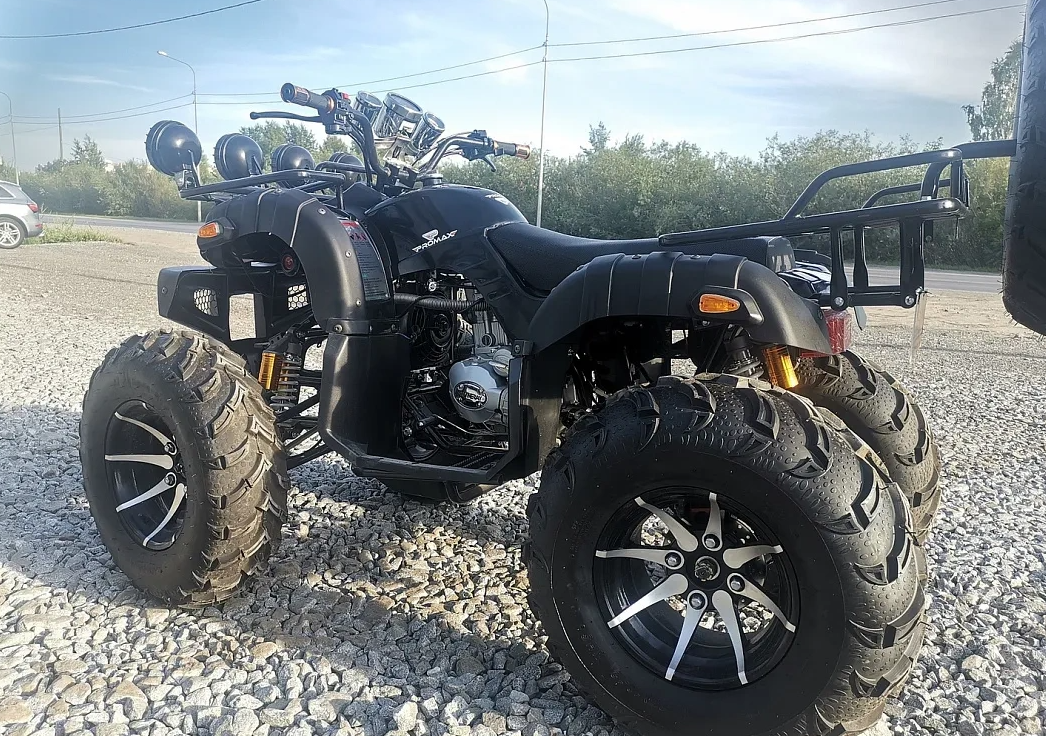 Квадроцикл PROMAX LEO 300 Max (кардан) в Октябрьском