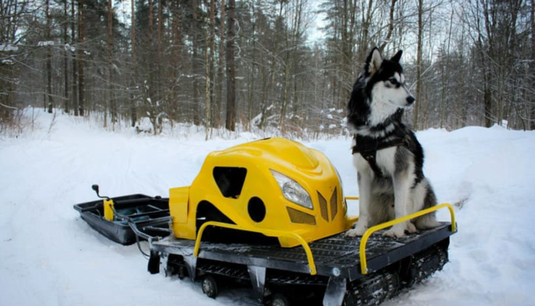Мотобуксировщик LEBEDEV MOTORS ВОЛКОДАВ POWER V13 в Октябрьском