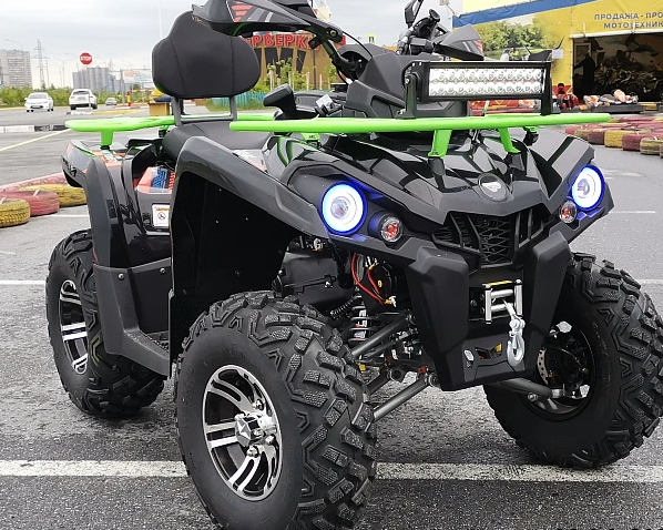 Квадроцикл PROMAX RENEGADE 280 WINCH PRO (2025) в Октябрьском