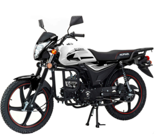 Мопед MOTOLAND (МОТОЛЕНД) Альфа RS 11 (LM48-B) в Октябрьском