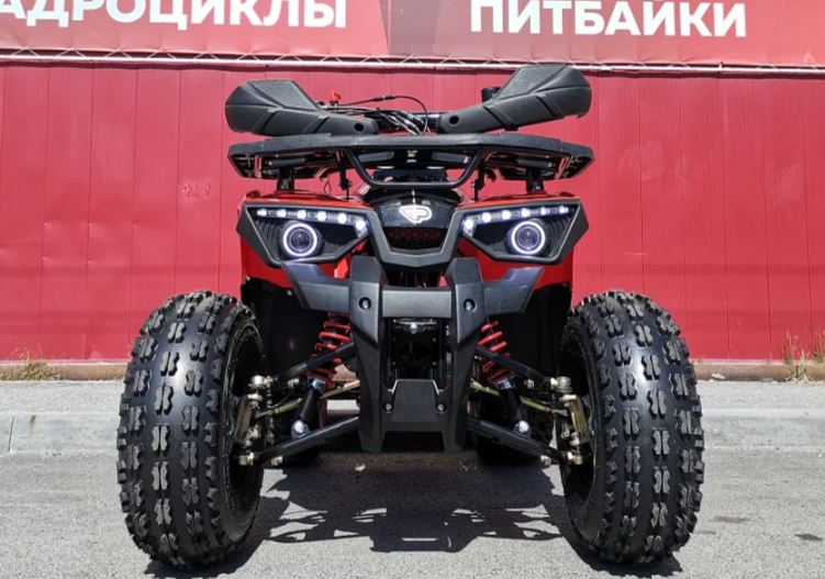 Квадроцикл PROMAX WILD 175 BASIC в Октябрьском