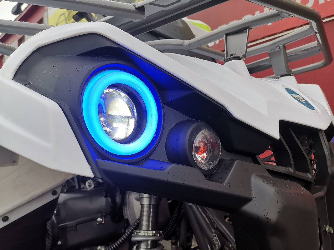 Квадроцикл PROMAX RENEGADE 280 LUX (2025) в Октябрьском