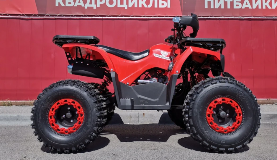 Квадроцикл PROMAX WILD 175 BASIC в Октябрьском